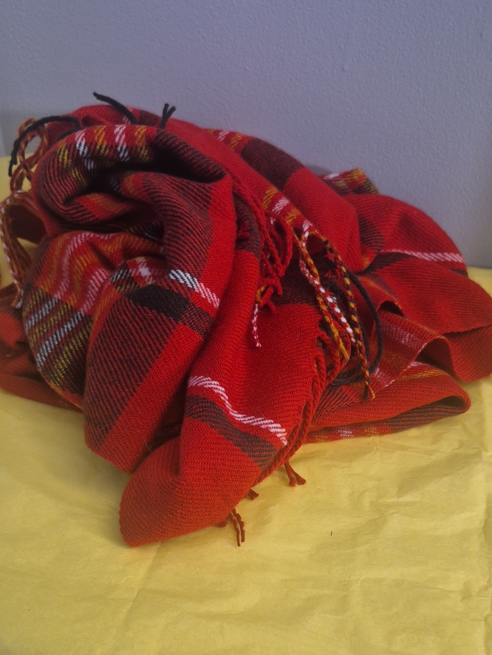 Red Plaid Fringe Scarf